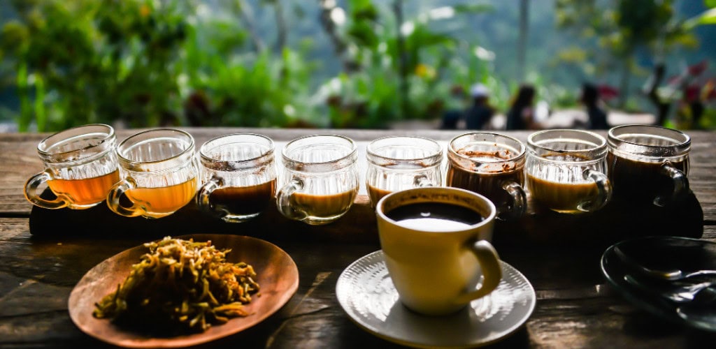 Eine Sehenswürdigkeit für den Gaumen - Luwak Kaffe auf Bali