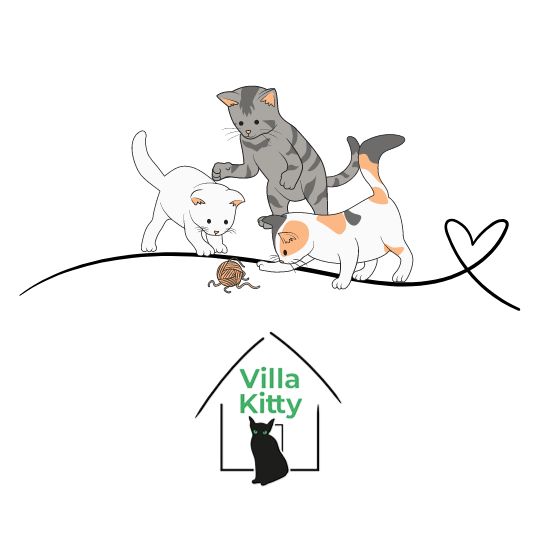 Spende an Villa Kitty 1 Spende an Villa Kitty