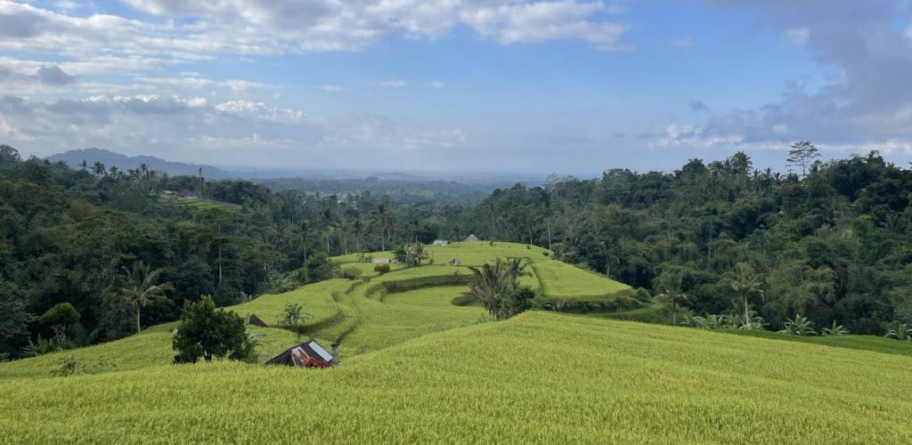 Kosten für einen Flug nach Bali