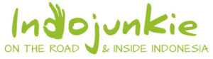 Indojunkie Logo