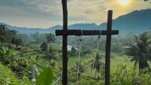 sidemen bali schaukel